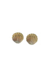 Shell Huggie Earrings